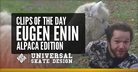 Clips of the day - Eugen Enin – Alpaca Edition (2017)