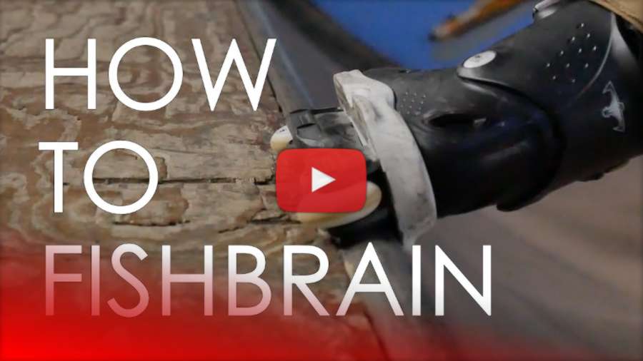 How To Fishbrain Grind, with Ricardo Lino