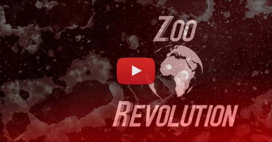 Eugen Enin: Zoo Revolution (2016) Full VOD, Now Free