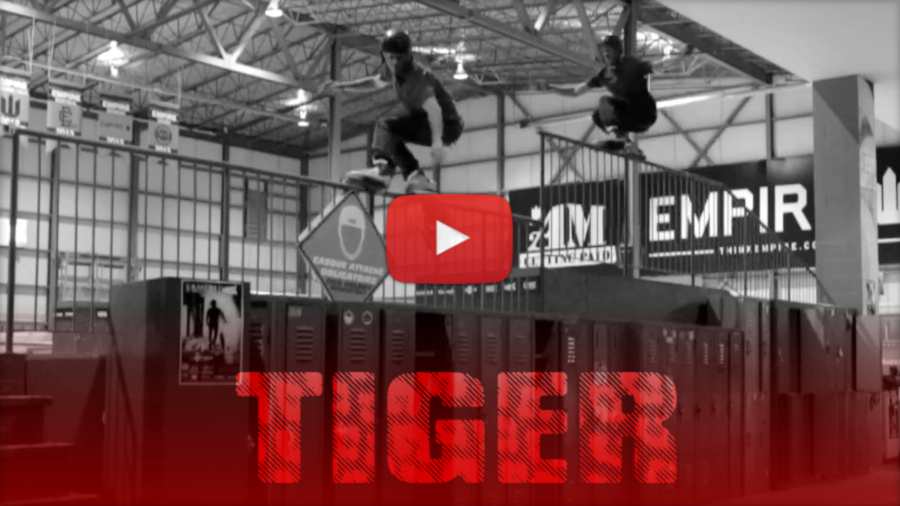 Vincent - Romain AKA Tiger - Taz Skatepark Edit by Gyom Latrompette (Quebec, Canada, 2021)