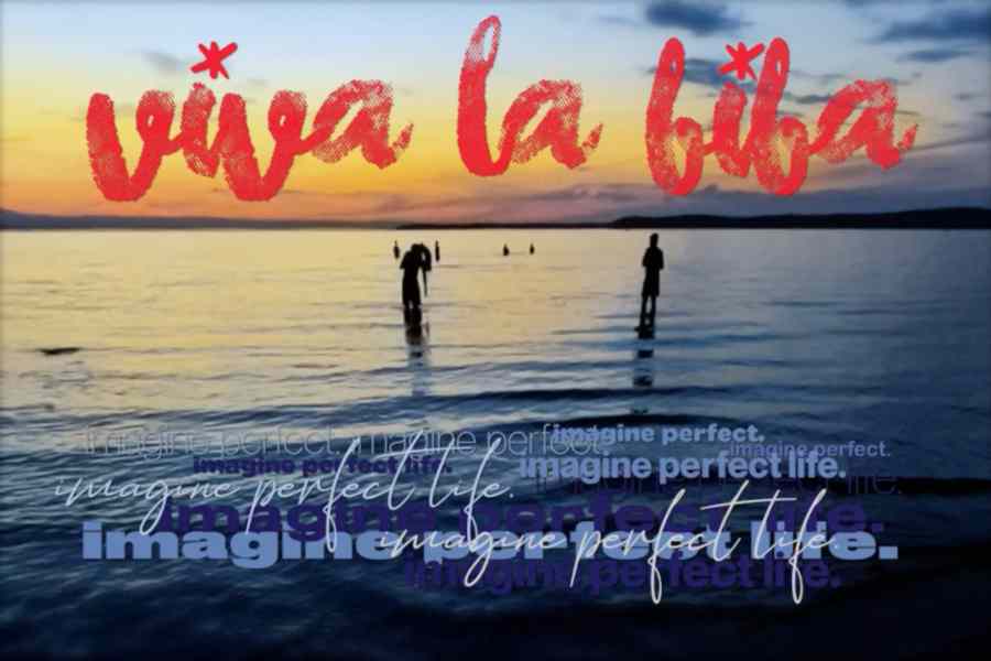 Viva La Biba - Imagine Perfect Life (2018-2022)