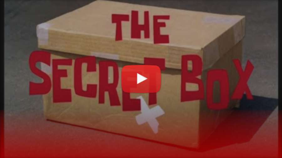 Eugen Enin - The Secret Box, Borklyn Zoo (Germany, 2022)