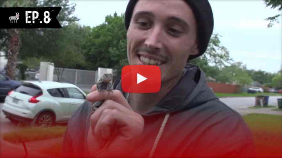 Jumbo 4 the Streets - Episodes 8, 9, 10
