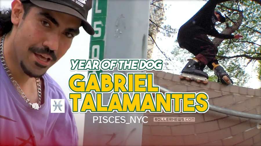 Year of the Dog Gabriel Talamantes